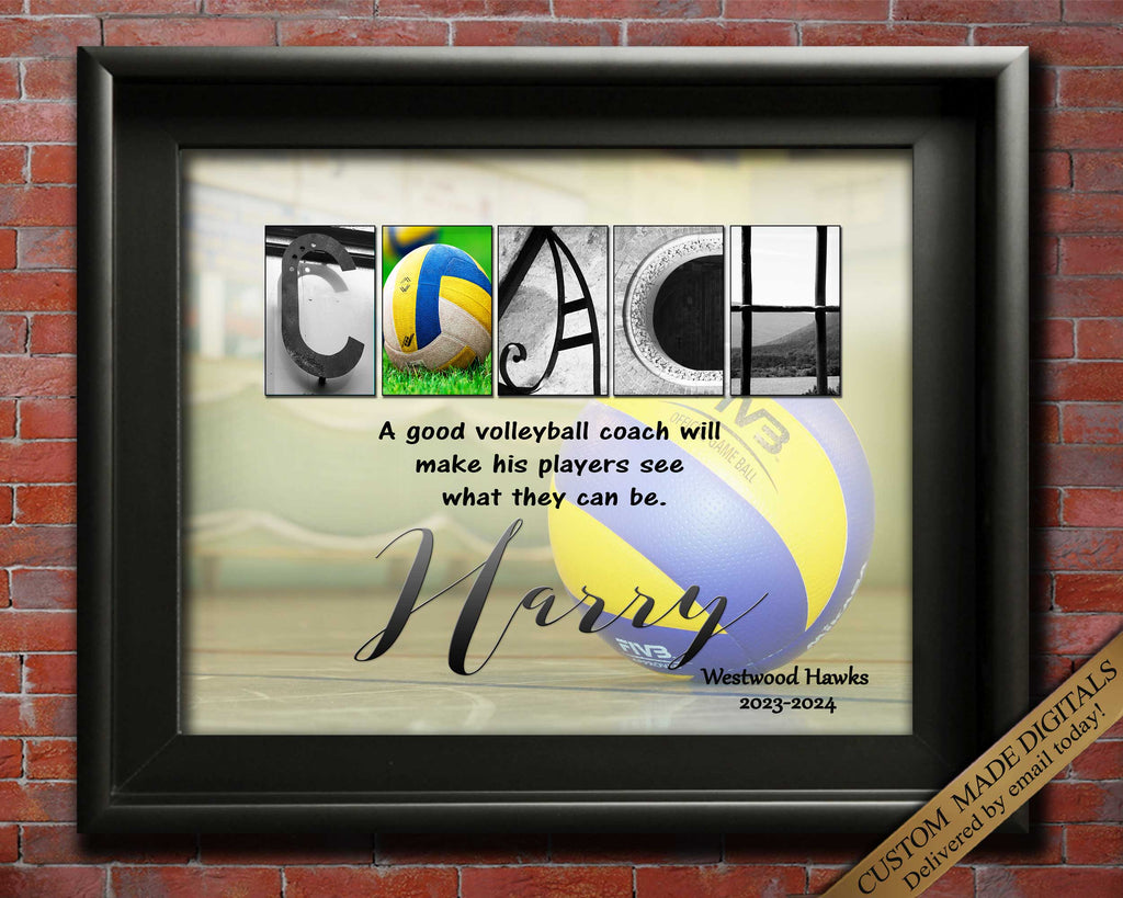 Volleyball Coach Gift male