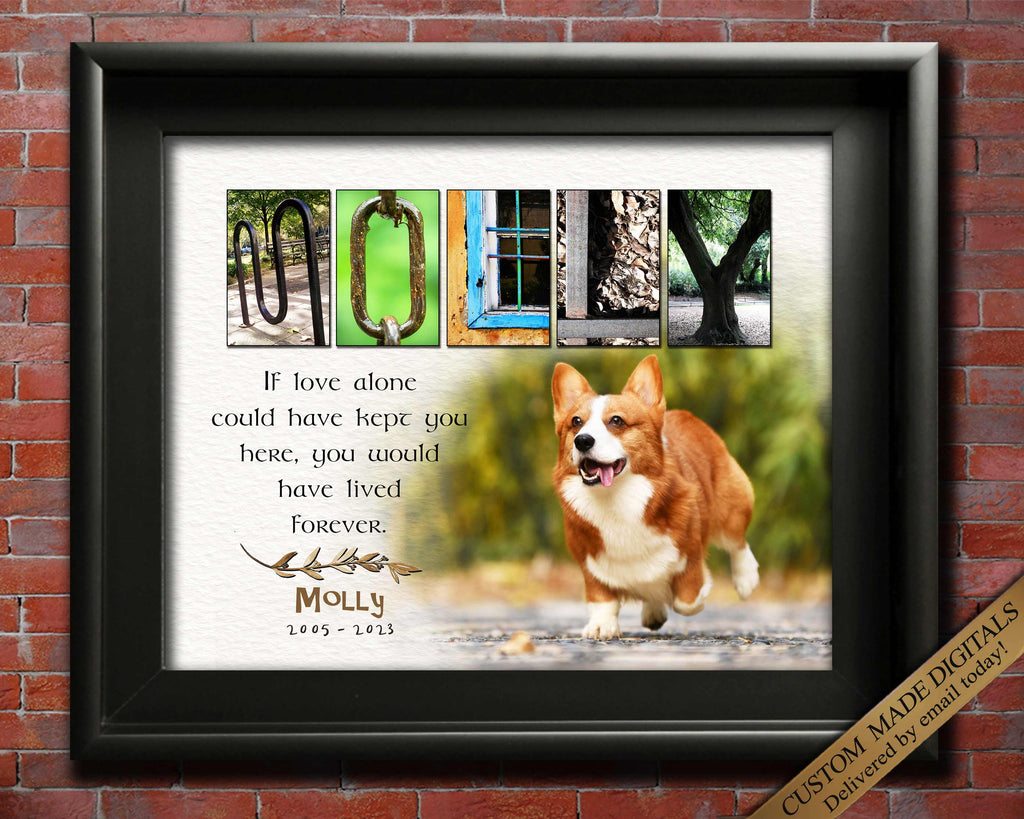 Pet Memorial Gift with photo