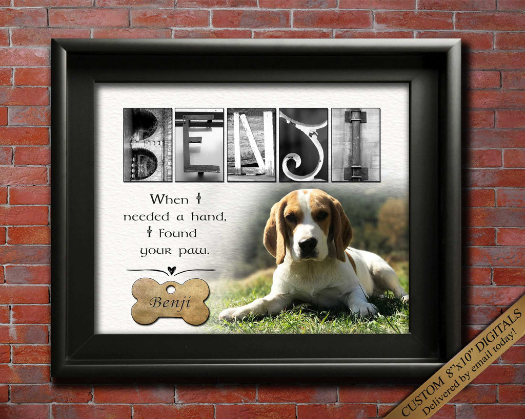Beagle Dog Gift Custom