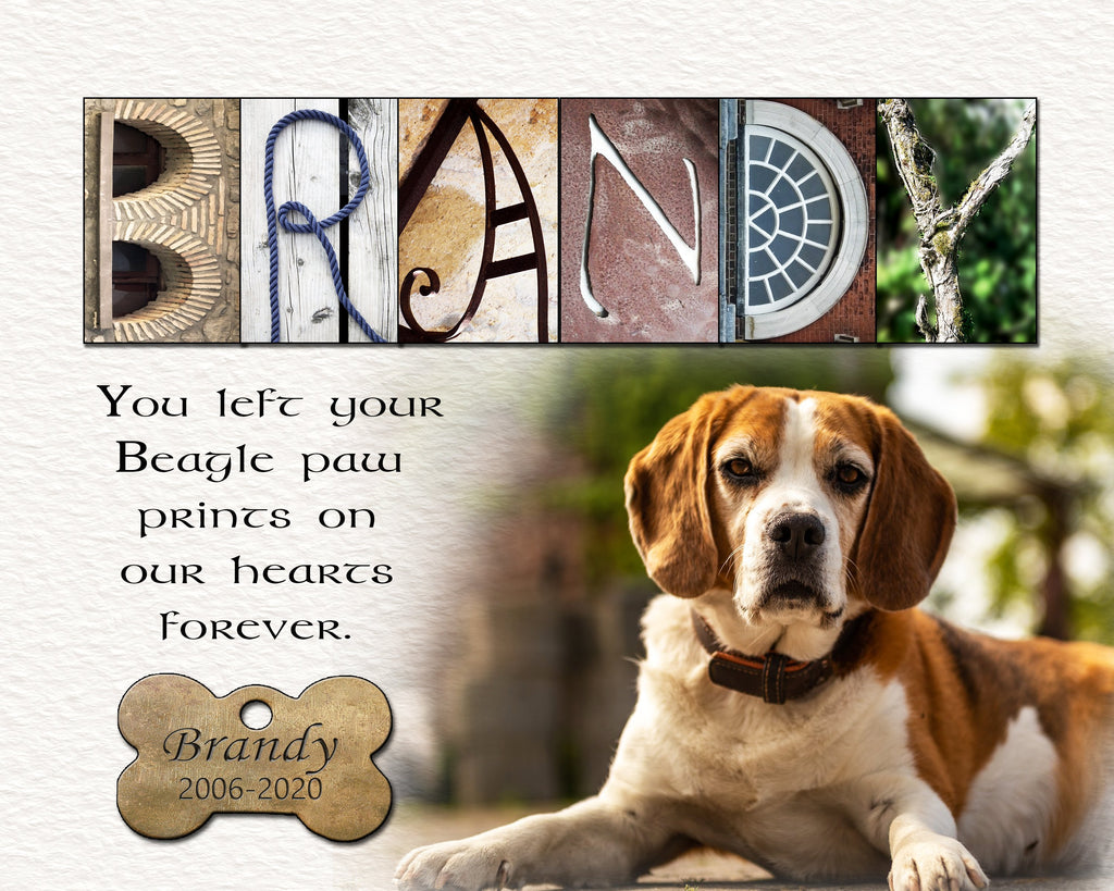 Beagle Dog Loss Gift