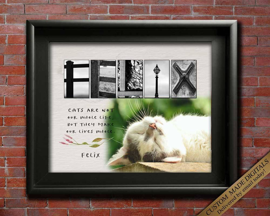 Best gift for Cat owner gift Cat Mom Personalized cat wall art Cat home decor Cat Christmas Card Cat gift for Girlfriend Cat Ornament