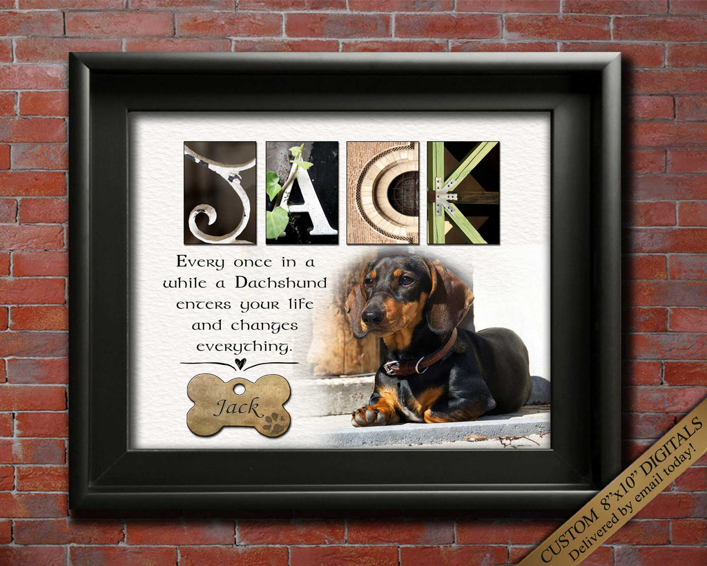 Every once in a while dachshund quote