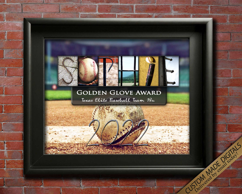 Baseball Player Awards Golden Glove End Of Season