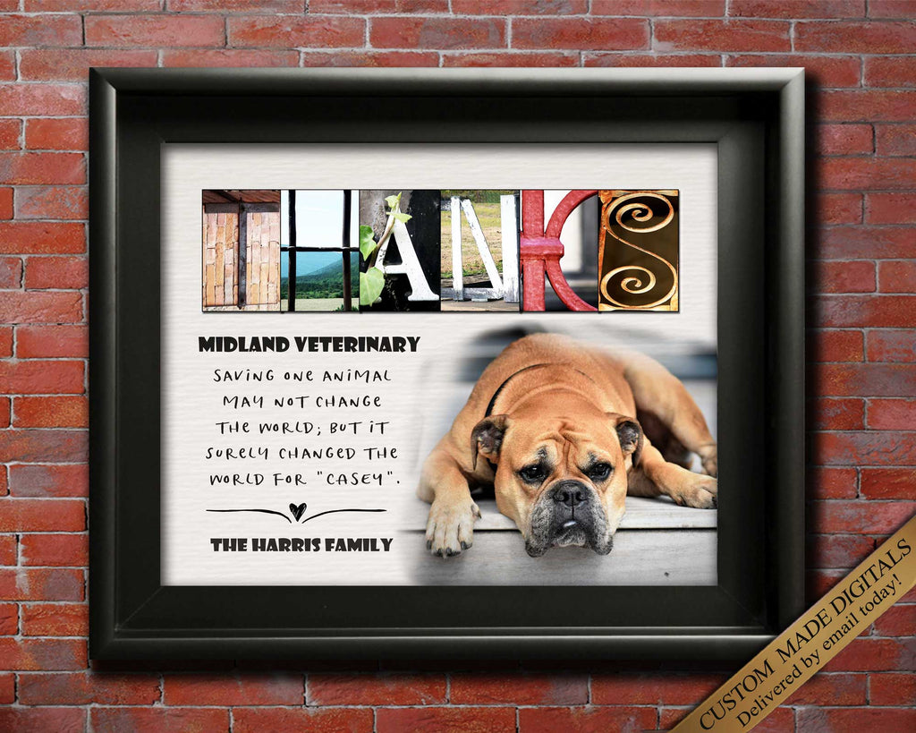 Veterinary Practice and Vet Thank You Gift
