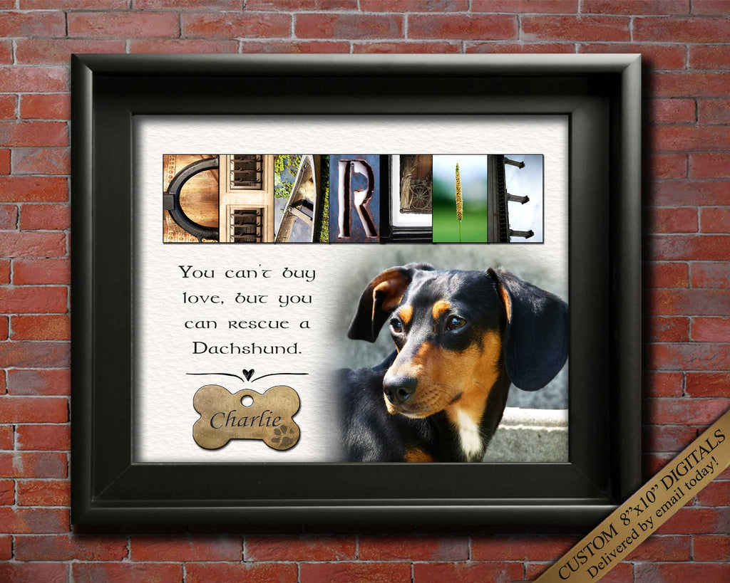 dachshund dog gift